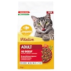 Croquettes pour chat adulte - CARREFOUR COMPANINO VITALIVE dans le catalogue Carrefour