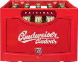 Aktuelles Original Czech Imported Lager Angebot bei Netto Marken-Discount in Schwedt (Oder) ab 13,99 €