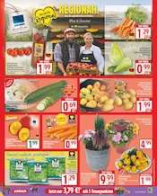 Hokkaido Angebote im Prospekt "Aktuelle Angebote" von EDEKA Hokkaido Angebote im Prospekt "Aktuelle Angebote" von EDEKA auf Seite 3