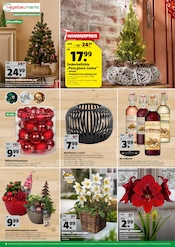 Weihnachtsbaum im Hagebaumarkt Prospekt in Fürstenfeldbruck Aktueller Hagebaumarkt Prospekt mit Weihnachtsbaum, "JETZT EISKALT SPAREN!", Seite 6