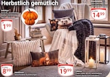 Dekofigur im Angebot bei GLOBUS in Rostock Dekofigur Angebote bei GLOBUS Rostock für 1,99 €