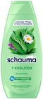 Shampoo Angebote von Schauma bei REWE Ulm für 1,69 €