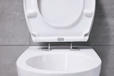 Lidl - WC-Sitz Angebot im Prospekt WC-Sitz bei Lidl im Prospekt "" für 14,99 €