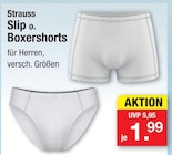 Slip von Strauss im aktuellen Zimmermann Prospekt