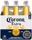 Mexican Beer Angebote von Corona bei REWE Stockelsdorf für 5,99 €