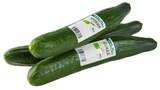 Bio Salatgurke im Angebot bei REWE in Leipzig Bio Salatgurke Angebote von REWE Bio bei REWE Leipzig für 0,69 €