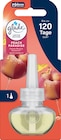 Lufterfrischer Duftstecker Peach Paradise Nachfüllpack von glade im aktuellen dm-drogerie markt Prospekt für 4,25 €