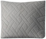 Aktuelles Deko-Kissen Angebot bei Penny in Frankfurt (Main) ab 4,99 €