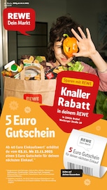 Aktueller REWE Supermarkt Prospekt in Brakel und Umgebung, "Dein Markt" mit 32 Seiten, 10.11.2025 - 15.11.2025