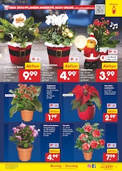 Aktueller Netto Marken-Discount Prospekt mit Garten, "Aktuelle Angebote", Seite 7