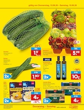 Ähnliche Thuja Angebote im Prospekt "Aktuelle Angebote" von Netto Marken-Discount in Freiburg Ähnliche Angebote wie Thuja im Prospekt "Aktuelle Angebote" auf Seite 4 von Netto Marken-Discount in Freiburg