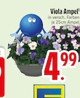 EDEKA Odelzhausen Prospekt mit  im Angebot für 4,99 €