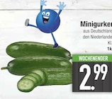 Minigurken im EDEKA Prospekt Minigurken von im aktuellen EDEKA Prospekt für 2,99 €