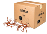 Racine araignée taille S - Reptiles Planet dans le catalogue Truffaut
