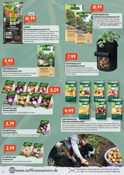 Aktueller Raiffeisen Rhein-Ahr-Eifel Handelsgesellschaft mbH Prospekt mit Gartenerde, "Beerenstark in die Saison", Seite 2