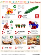 Promos Jardinage dans le catalogue "LES TOPS" de Auchan Hypermarché Jardinage en promo dans le catalogue Auchan Hypermarché à la page 23