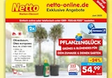 Olivenbaum, Olea europaea für 27,50 € bei Netto Marken-Discount im Angebot Olivenbaum, Olea europaea im aktuellen Netto Marken-Discount Prospekt