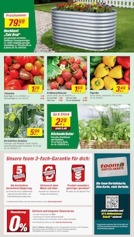 Tomaten im toom Baumarkt Prospekt "Respekt, wer's selber macht." mit 24 Seiten (Mönchengladbach)