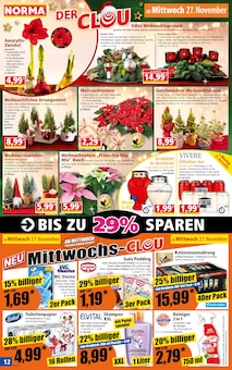 Weihnachtsbaum im Norma Prospekt "Mehr fürs Geld" mit 16 Seiten (Hof)