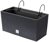 Blumenkasten im Angebot bei Penny in Germering Blumenkasten Angebote bei Penny Germering für 6,99 €
