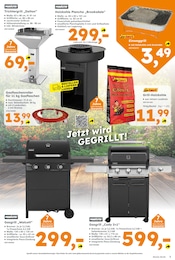 Grillkohle im Globus-Baumarkt Prospekt in Kamen Aktueller Globus-Baumarkt Prospekt mit Grillkohle, "Immer eine Idee besser", Seite 3