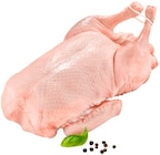 Frische junge bayr. Ente Angebote bei REWE Heidenheim für 6,99 €