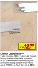 Aktuelles Laminat "Scandinavia" Angebot bei toom Baumarkt in Hagen (Stadt der FernUniversität) ab 12,99 €