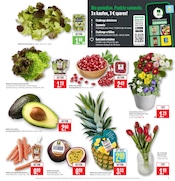 Aktueller Marktkauf Prospekt mit Blumen, "Aktuelle Angebote", Seite 5