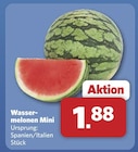 Wassermelonen Mini Angebot in Börger Wassermelonen Mini im aktuellen Prospekt bei combi in Börger