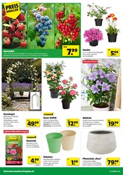 Aktueller Hagebaumarkt Prospekt mit Pflanzenerde, "FREU DICH AUF DRAUSSEN", Seite 4