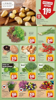 Kartoffeln im REWE Prospekt "Dein Markt" mit 20 Seiten (Dresden)
