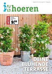 Ähnliche Angebote wie Grabgesteck im Prospekt "DEINE BLÜHENDE TERRASSE" auf Seite 1 von Hoeren Gartencenter in Duisburg
