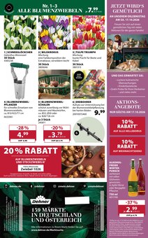 Bohrmaschine im aktuellen Dehner Garten-Center Prospekt (Fürth) Bohrmaschine im Dehner Garten-Center Prospekt "AKTUELLE ANGEBOTE" mit 16 Seiten (Fürth)