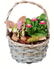 Frühlingskorb im aktuellen toom Baumarkt Prospekt