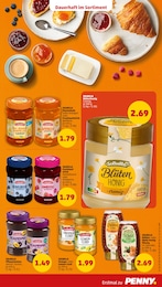 Penny Gartenpflanzen im Prospekt 