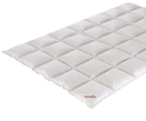 Ganzjahresbettdecke Angebote von Paradies bei BRAUN Möbel-Center Reutlingen für 299,00 €