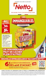 Catalogue Discount Alimentaire Netto en cours à Palaminy et alentours, "LES IMMANQUABLES SEMAINE 2", 16 pages, 18/06/2024 - 24/06/2024