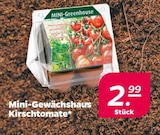 Mini-Gewächshaus Kirsch tomate Angebote bei Netto mit dem Scottie Pinneberg für 2,99 €