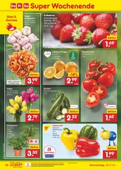 Aktueller Netto Marken-Discount Prospekt mit Erdbeeren, "Aktuelle Angebote", Seite 44