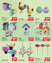 Aktueller famila Nordost Prospekt mit Gartendeko, "besser als gut!", Seite 22