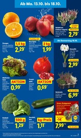 Ähnliche Hortensie Angebote im Prospekt "LIDL LOHNT SICH" von Lidl in Villingen-Schwenningen Ähnliche Angebote wie Hortensie im Prospekt "LIDL LOHNT SICH" auf Seite 3 von Lidl in Villingen-Schwenningen