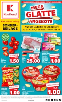 Kaufland Löchgau Prospekt "Sonderbeilage" mit 8 Seiten