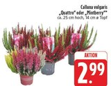 Quattro im Angebot bei EDEKA in Zwickau Quattro Angebote bei EDEKA Zwickau für 2,99 €