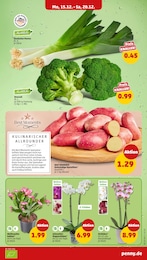 Penny Braeter im Prospekt Penny Braeter im Prospekt