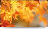 Aktuelles OLED TV 65OLED759 Angebot bei expert in Gotha ab 1.299,00 €