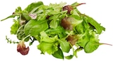 Wildkräuter Salat von REWE Beste Wahl für 1,19 € bei REWE im Angebot Wildkräuter Salat von REWE Beste Wahl im aktuellen REWE Prospekt