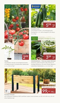 Tomaten im Pflanzen Kölle Prospekt "FRÜHLING ERLEBEN" mit 16 Seiten (Nürnberg)