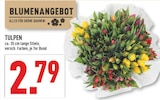 Marktkauf Warendorf Prospekt mit  im Angebot für 2,79 €