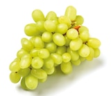 Trauben kernlos für 1,99 € bei Netto mit dem Scottie im Angebot Trauben kernlos im aktuellen Netto mit dem Scottie Prospekt