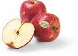 Äpfel Braeburn Angebote bei Netto Marken-Discount Mühlhausen für 1,99 €